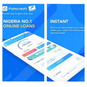 Palmcredit Loan App 2020