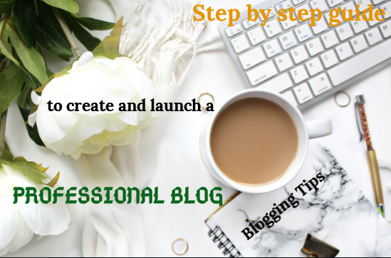 Step by step guide to create a professional blog